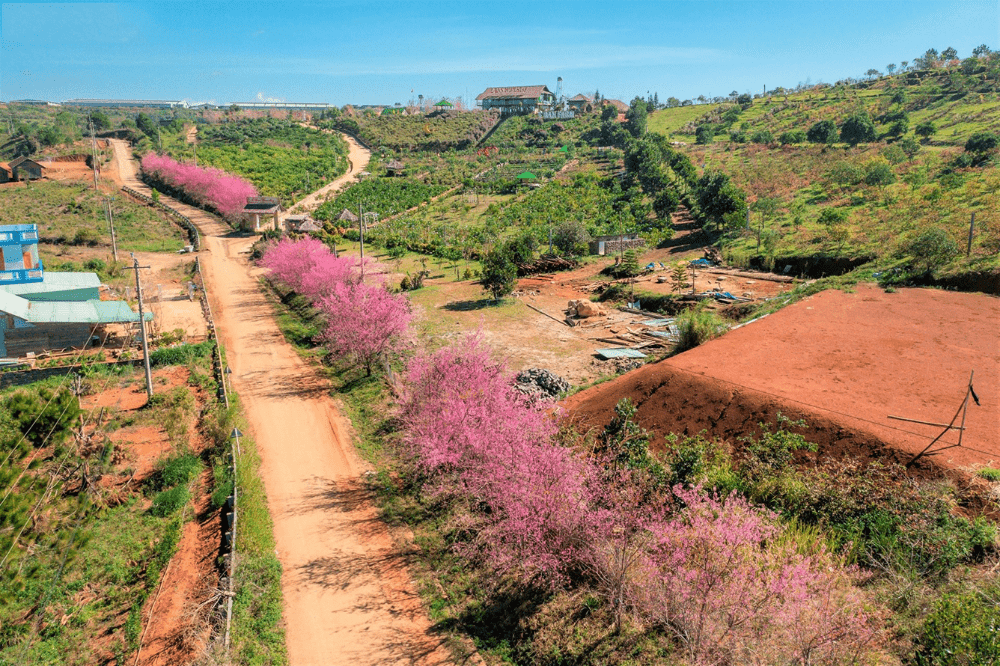 thiết kế homestay thiết kế homestay